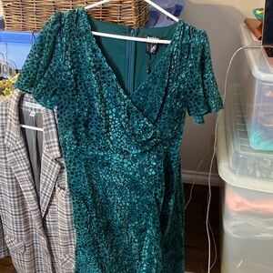 DKNY Green Velvety Dress